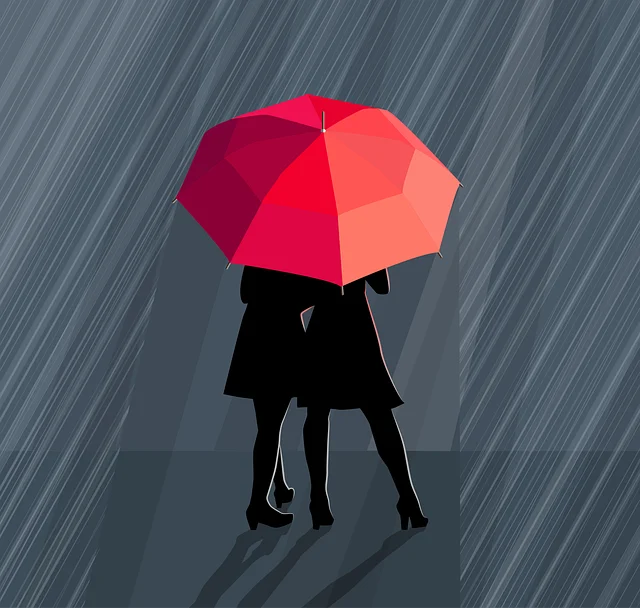 Ilustrație: un cuplu adăpostindu-se împreună sub o umbrelă roșie, în ploaie